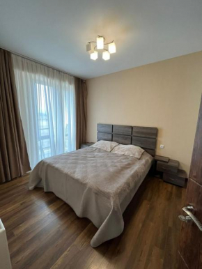 Villa Deluxe Premium Apartment 308